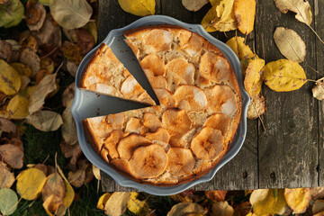 High angle view of homemade apple pie. Recipes for autumn baking with apples. 