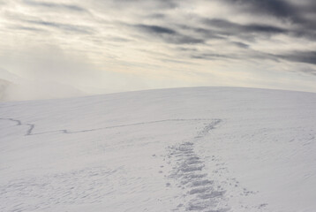 Snowshoe tracks on the surface of deep snow. Footprints on the snow slope leading to the horizon.