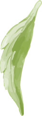green leaf