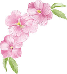 pink flowers 