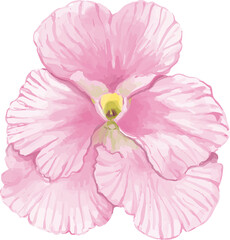 pink flower 