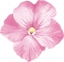 pink flower isolated on white 