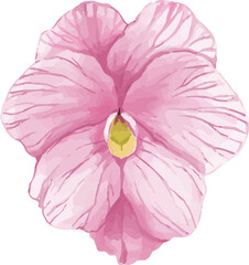 pink flower isolated on white