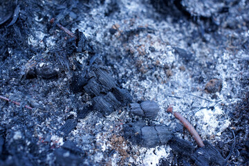 the black and white ash of the remaining peatlands burn in Sumatra