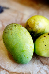 New mangoes are picked from the tree
