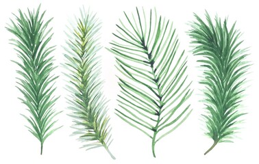 Fototapeta na wymiar Set of watercolor green spruce branches