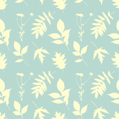 Camomile and  leaves silhouette,  pastel color, pattern. Stamp, imprint, herbarium, vintage.