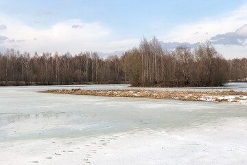 Melting ice on frozen lake surface in early spring forest landscape