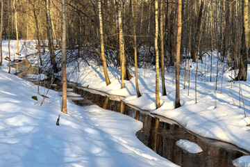 Melting snow formed stream flowing among  trees in early spring forest