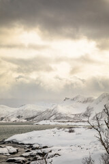 Obraz premium Lofoten im Winter - Nordnorwegen