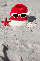 Santa Claus hat,starfish and sunglases