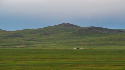 Mongolian ger in the meadow south of Ulaanbaatar 