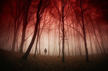 man in dark forest, horror landscape