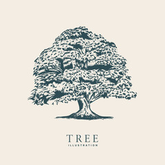 Hand Drawn Tree Illustration