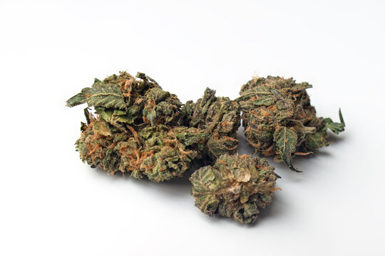 Marihuana, Hanfknospen und Hanfbl&auml;tter