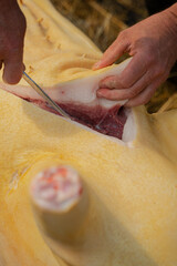 Fototapete bei efototapeten.de bestellen   