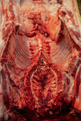 fresh pork carcass, farming household