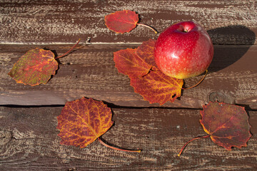 brązowe deski i liście jabłko 5 - obrazy, fototapety, plakaty