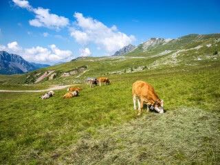 Obraz premium Val di Fassa