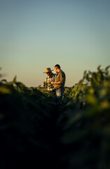 Two farmers in a field examining soy crop at sunset. © Zoran Zeremski