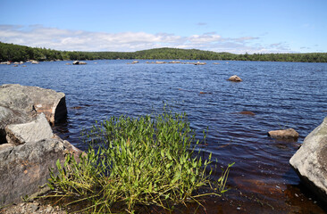 View of Robertsons Lake, Nova Scotia