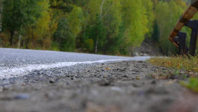Red car races fast down an asphalt road with its headlights on. Traveler by car overcomes long distances along the highway in autumn