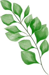Watercolor Green Leaf For Wedding Decoration