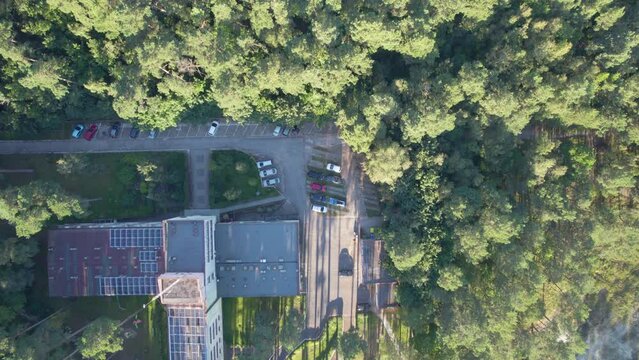 Green town Krynica Morska Vistula Spit Poland aerial 