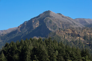 Fototapeta na wymiar Mountains off of Columbia River gorge