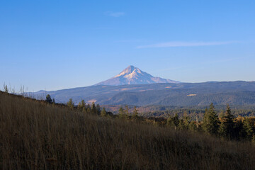Obraz premium mount hood 