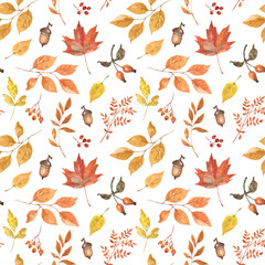 Natural wallpaper design. Watercolor autumn leaves and foliage seamless pattern on white background. Botanical fall print. © Anna Nekotangerine