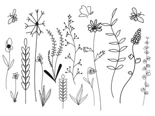 grass vector drawing
 wildflowers on white background