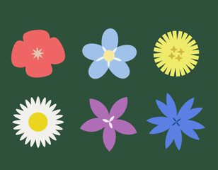 Set of different wildflowers top view. Beautiful flowers in flat style.