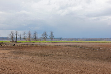An empty crop field in the spring with some trees in the distance