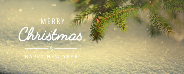 Obraz na płótnie Canvas Christmas snowy fir tree branches close up. Christmas and winter concept.