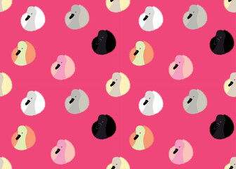 Baby Swan seamless pattern. Swan illustration vector design. 