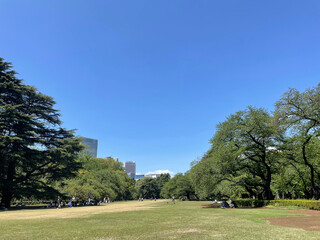 Fototapeta na wymiar 東京にある有料公園。都会の真ん中。
