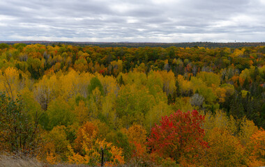 Fototapeta premium fall or autumn view of fall foliage on trees colored changing leaves in forest from look out view in Ontario yellows greens and reds of tree leaves horizontal format of fall scene on cottage country 