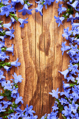 Vintage rural still life background with blue garden flowers on a wooden surface