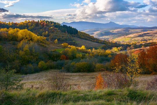 autumnal countryside of carpathians. stunning open vista with village in the valley and high peak in the distance beneath a sky with fluffy clouds in evening light. trees on the hills in fall foliage
