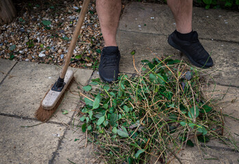 Close up of man using yard brush to sweep up pile of hedge clippings with branches and green leaves.