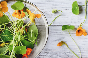 Nasturtium plants, Monks cress flowers and leaves prepared for cooking on kitchen table, top view