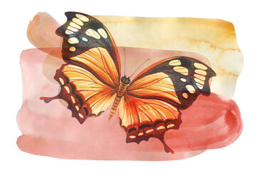 Abstract paintings. Geometric shapes, vintage butterflies isolated on white background. Color watercolor illustration