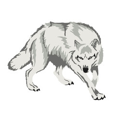 wolf vector illustration