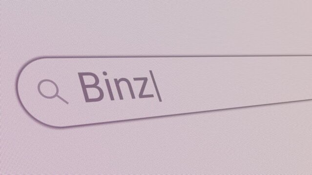 Search Bar Binz 
Close Up Single Line Typing Text Box Layout Web Database Browser Engine Concept