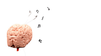 3D Human Internal Organ Brain With Earphone, Music Notes And Copy Space.