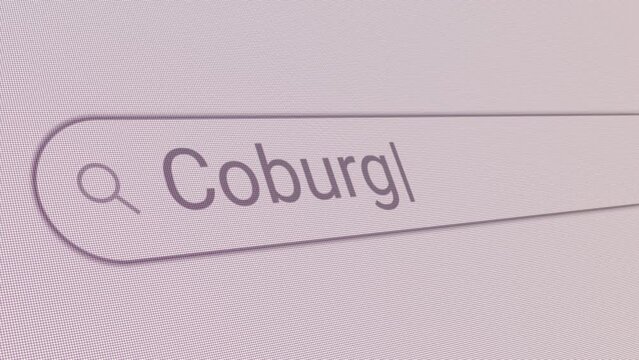 Search Bar Coburg 
Close Up Single Line Typing Text Box Layout Web Database Browser Engine Concept