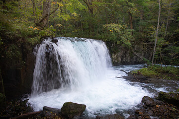 CHOSHIOTAKI waterfall at Oirase gorge in Aomori, Japan