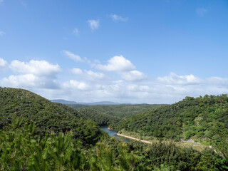 沖縄自然遺産の森、ヤンバル