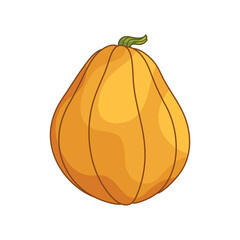 Cute flat style pumpkin. Pear-shaped shape. Simple cartoon vegetable icon. Autumn illustration. Clipart element for design for Thanksgiving, Halloween, Harvest Festival.